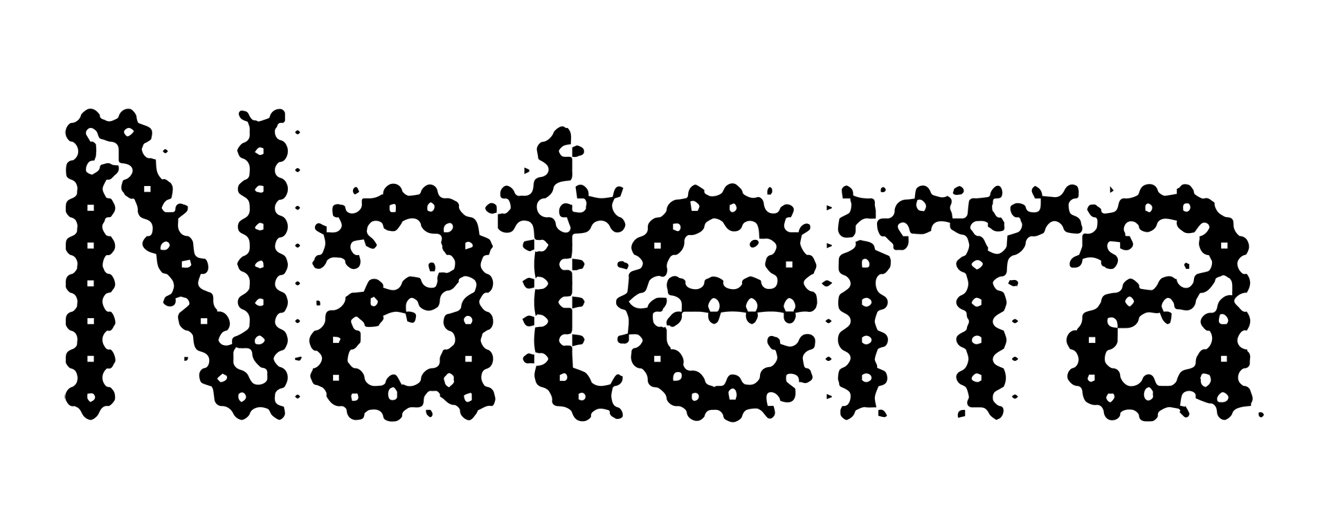 Naterra-logo